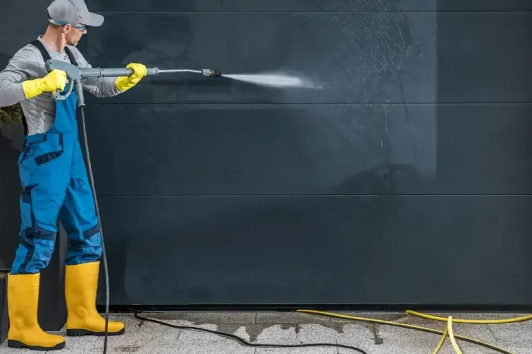 Garage Door Washing